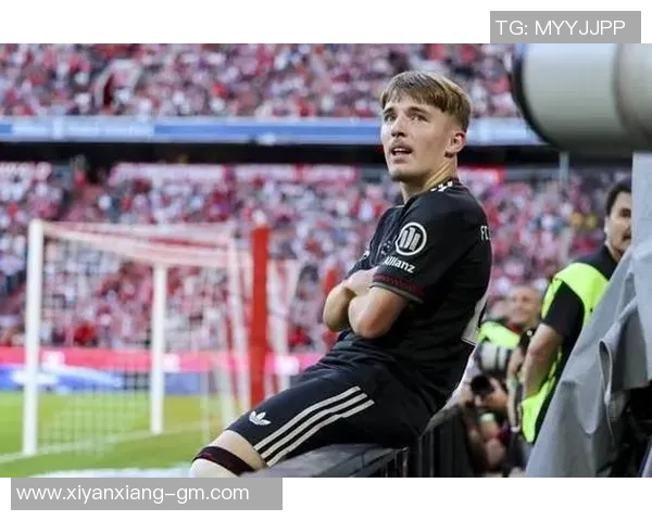 热刺逆袭拜仁全场瞩目帽子戏法点燃激情赛后精彩点评